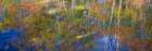 USA-New Hampshire-Gorham Autumn colors reflected in small pond Art Print